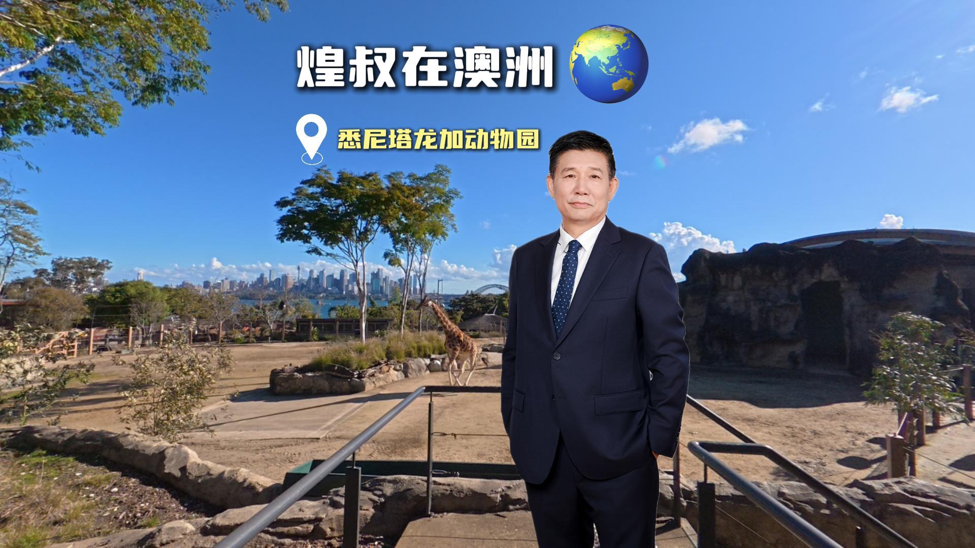 走訪悉尼塔龍加動(dòng)物園，讀懂鄉(xiāng)墅建造的底層邏輯